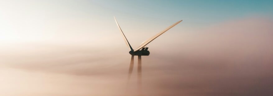Renewable Energy and Wildlife Conservation: Striking the Balance